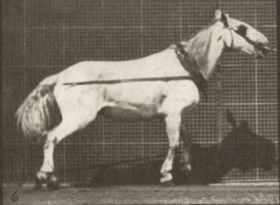 Plate 572 'Johnson' hauling — figure reference